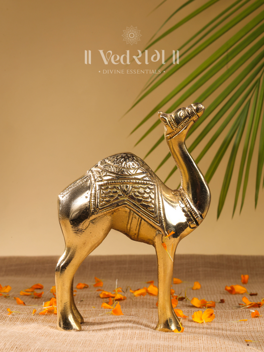 Brass Camel Idol