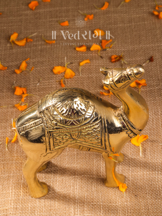 Brass Camel Idol 