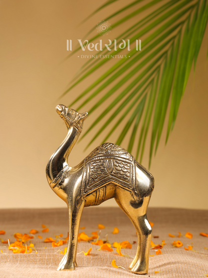 Brass Camel Idol 
