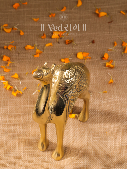 Brass Camel Idol 