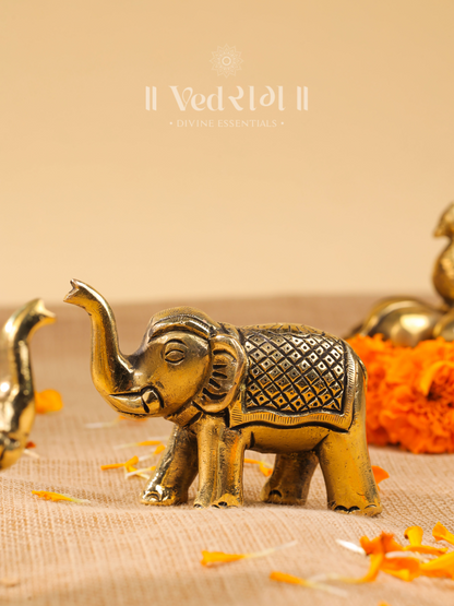 Brass Elephant Idol