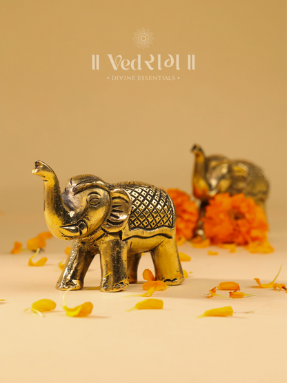 Brass Elephant Idol 