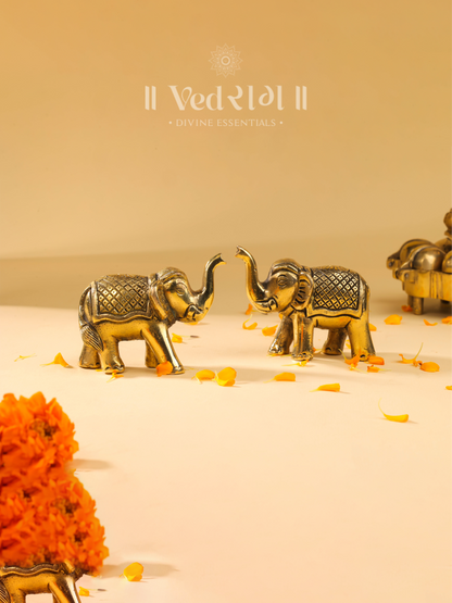 Brass Elephant Set of 2