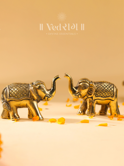 Brass Elephant Set of 2
