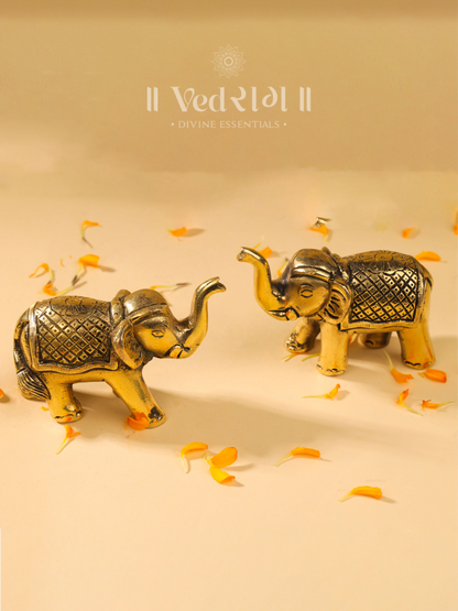Brass Elephant Set of 2 