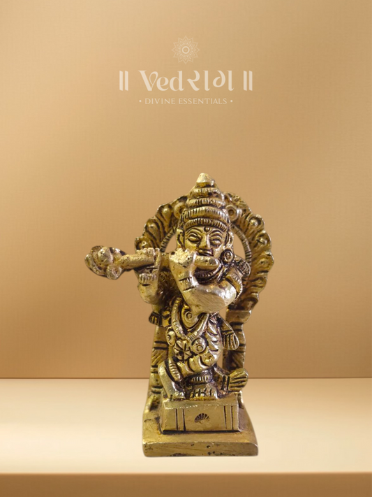 Brass Krishna Ji