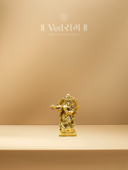 Brass Krishna Ji