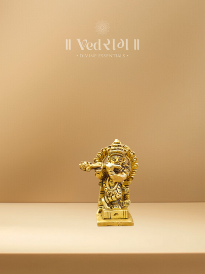 Brass Krishna Ji