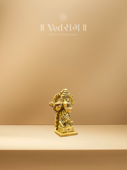 Brass Krishna Ji