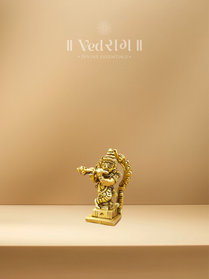 Brass Krishna Ji