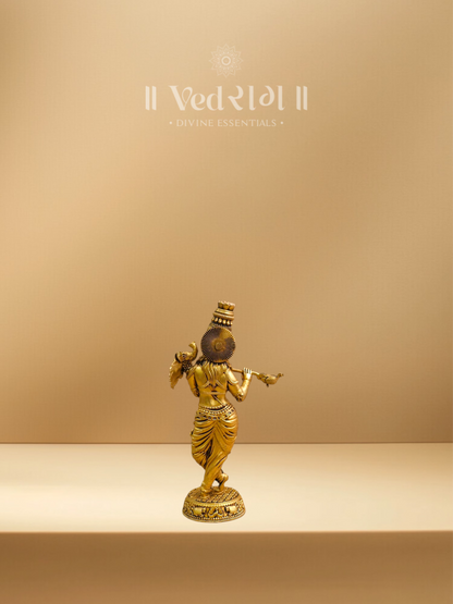 Brass Krishna Ji