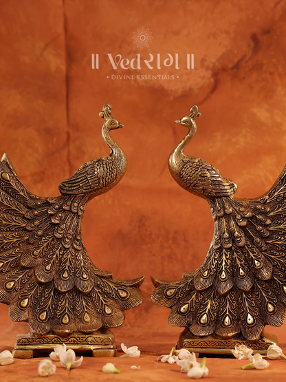 Brass Mayur (Set Of 2)