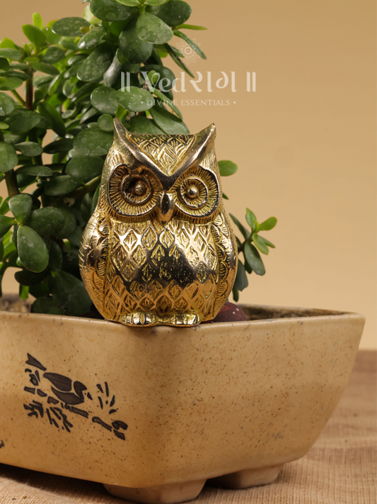 Brass Owl Idol