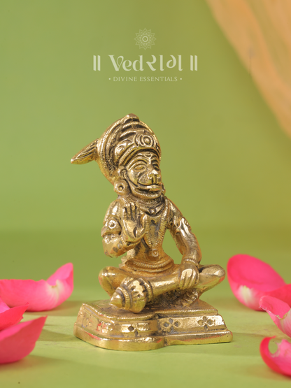 Brass Sankatmochan Hanuman Idol