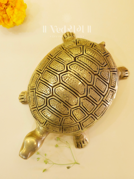 Brass Tortoise 
