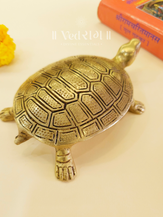 Brass Tortoise 