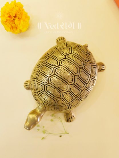 Brass Tortoise 