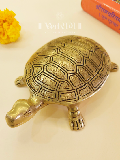 Brass Tortoise 