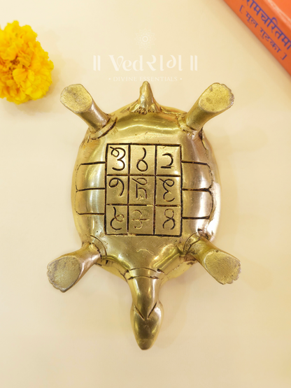 Brass Tortoise 