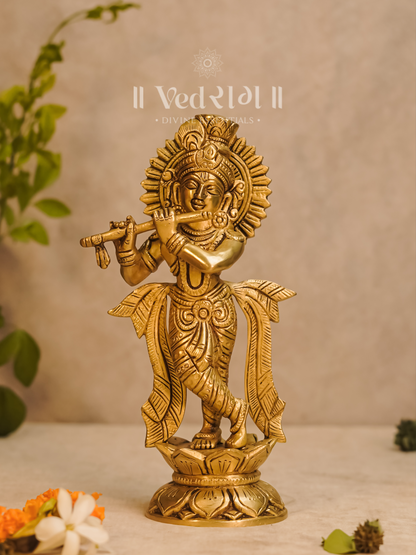Kamalnayana Krishna