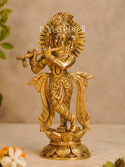 Kamalnayana Krishna