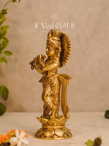 Kamalnayana Krishna