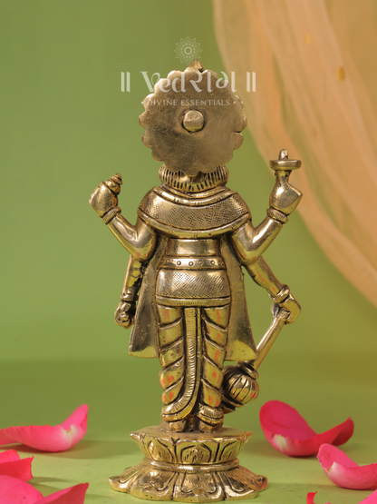 Lord Vishnu grace 