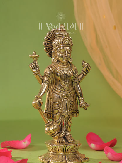 Lord Vishnu grace  