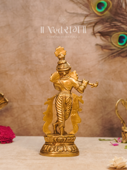 Nirgun Krishna